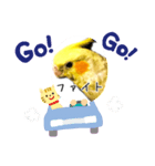 オカメさんのスタンプ（個別スタンプ：5）
