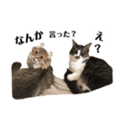 ジャック＆ダニエル 2（個別スタンプ：1）