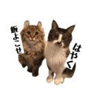 ジャック＆ダニエル 2（個別スタンプ：2）