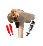 ジャック＆ダニエル 2（個別スタンプ：3）
