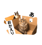 ジャック＆ダニエル 2（個別スタンプ：7）