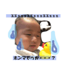瞬太郎くんのスタンプ3（個別スタンプ：5）