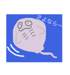 海のいきもの。（個別スタンプ：39）