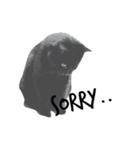 黒猫ウネくん（個別スタンプ：3）