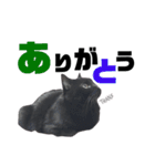 黒猫ウネくん（個別スタンプ：4）