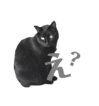 黒猫ウネくん（個別スタンプ：10）
