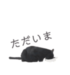 黒猫ウネくん（個別スタンプ：11）
