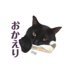 黒猫ウネくん（個別スタンプ：12）