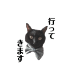 黒猫ウネくん（個別スタンプ：13）