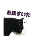 黒猫ウネくん（個別スタンプ：21）