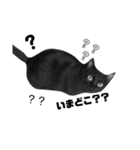 黒猫ウネくん（個別スタンプ：22）
