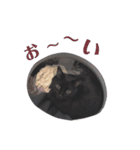 黒猫ウネくん（個別スタンプ：29）