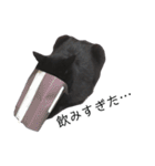 黒猫ウネくん（個別スタンプ：33）