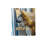 もぐスタンプ(^-^)（個別スタンプ：7）