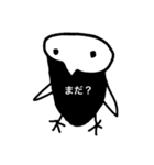 インコのアオさん（個別スタンプ：24）