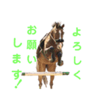 乗馬クラブの仲間たち（個別スタンプ：7）