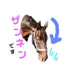 乗馬クラブの仲間たち（個別スタンプ：10）