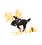 乗馬クラブの仲間たち（個別スタンプ：16）