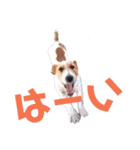 乗馬クラブの仲間たち（個別スタンプ：17）