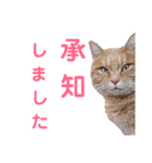 乗馬クラブの仲間たち（個別スタンプ：18）