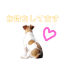 乗馬クラブの仲間たち（個別スタンプ：23）
