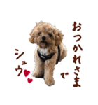 パンタピヨ星人としもべの犬々。（個別スタンプ：8）