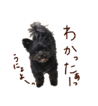 パンタピヨ星人としもべの犬々。（個別スタンプ：10）