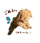 パンタピヨ星人としもべの犬々。（個別スタンプ：12）