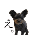 パンタピヨ星人としもべの犬々。（個別スタンプ：13）