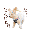 パンタピヨ星人としもべの犬々。（個別スタンプ：14）