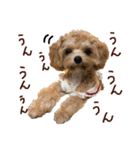 パンタピヨ星人としもべの犬々。（個別スタンプ：17）