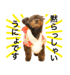 パンタピヨ星人としもべの犬々。（個別スタンプ：22）