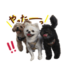 パンタピヨ星人としもべの犬々。（個別スタンプ：24）