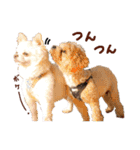 パンタピヨ星人としもべの犬々。（個別スタンプ：27）