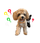 パンタピヨ星人としもべの犬々。（個別スタンプ：28）