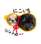パンタピヨ星人としもべの犬々。（個別スタンプ：30）