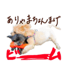 パンタピヨ星人としもべの犬々。（個別スタンプ：32）
