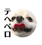 パンタピヨ星人としもべの犬々。（個別スタンプ：33）