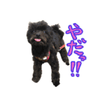 パンタピヨ星人としもべの犬々。（個別スタンプ：35）
