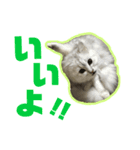 アリスとアビー 2（個別スタンプ：5）