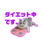 アリスとアビー 2（個別スタンプ：6）