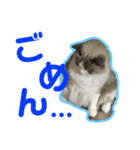 アリスとアビー 2（個別スタンプ：8）