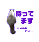 アリスとアビー 2（個別スタンプ：10）