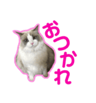 アリスとアビー 2（個別スタンプ：11）