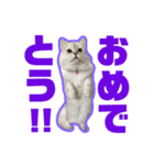 アリスとアビー 2（個別スタンプ：12）