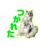 アリスとアビー 2（個別スタンプ：15）