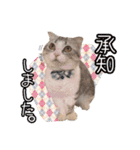 なめちまるスタンプ（個別スタンプ：1）