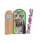 なめちまるスタンプ（個別スタンプ：2）