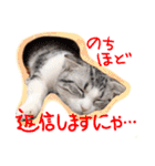 なめちまるスタンプ（個別スタンプ：4）