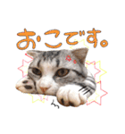 なめちまるスタンプ（個別スタンプ：6）